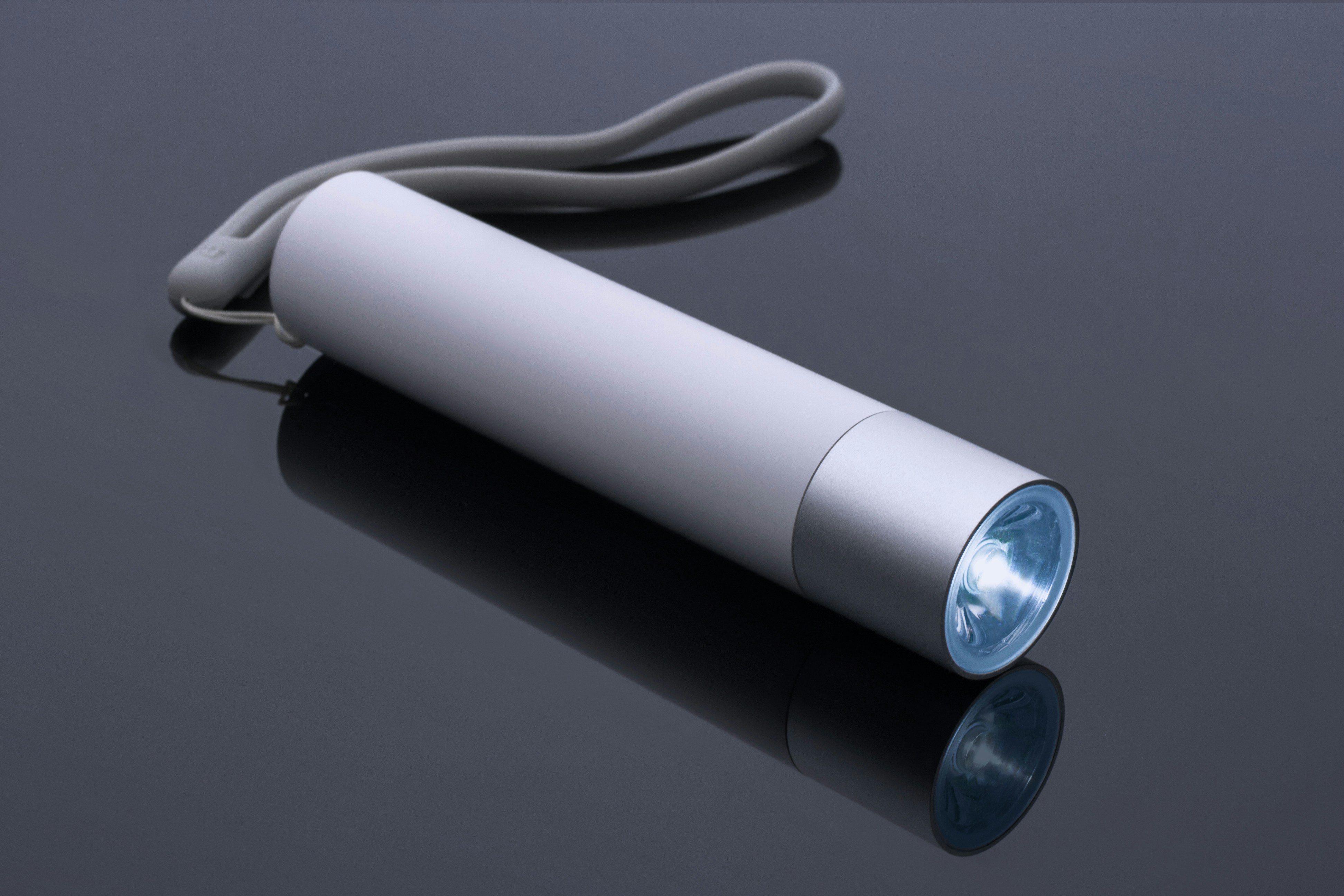 Security Flashlight